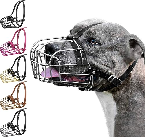 BRONZEDOG Pitbull Hundemaulkorb Metallmaske Amstaff Drahtkorb Pit Bull Verstellbare Lederriemen für große Hunde (Schwarz) von BRONZEDOG