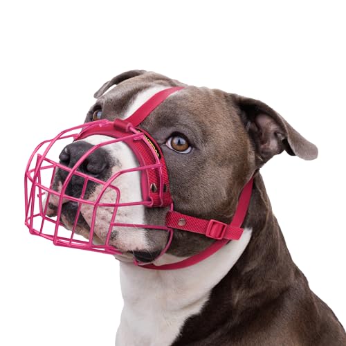 Hundemaulkorb für Pitbulls Metalldraht Korb Amstaff Maske für mittelgroße und große Hunde (Rosa) von BRONZEDOG