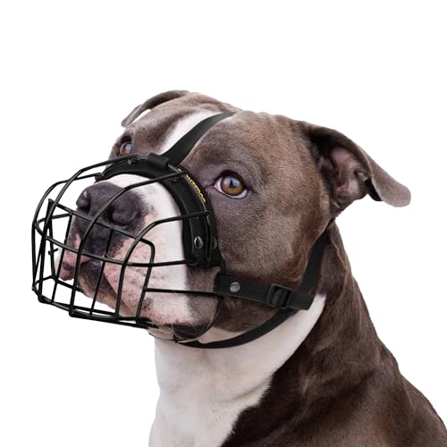 Hundemaulkorb für Pitbulls Metalldrahtkorb Amstaff Maske für mittelgroße und große Hunde (schwarz) von BRONZEDOG