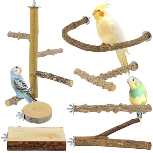 BRSLAIF 7 x Sitzstangen aus Naturholz für Käfig, Vogel-Sitzstange für Papageien, Sittiche, Sittiche, Käfigzubehör, für Nymphensittiche, Wellensittiche, kleine und mittelgroße Papageien von BRSLAIF