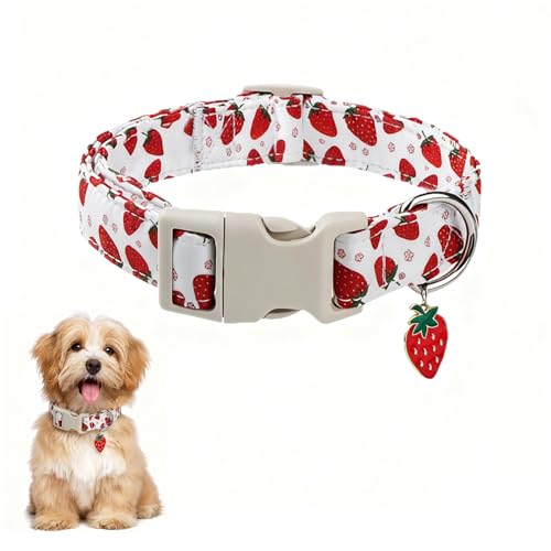 BRTNUP Hundehalsband, niedliches kleines Hundehalsband mit Erdbeer-Blumenmuster und Schnellverschluss-Schnalle, verstellbar, leicht, Hundehalsband für kleine Hunde, perfekt für den täglichen Gebrauch BRTNUP Hundehalsband, niedliches kleines Hundehalsband mit Erdbeer-Blumenmuster und Schnellverschluss-Schnalle, verstellbar, leicht, Hundehalsband für kleine Hunde, perfekt für den täglichen Gebrauch von BRTNUP