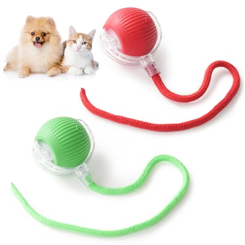 Chewie interaktiver Katzenball und aktiver Rollball mit schnellem Schwanz für Hunde, virale Rollbälle, per USB wiederaufladbar, 360° intelligentes automatisches Haustierspielzeug für Katzen und Hunde von BRTNUP