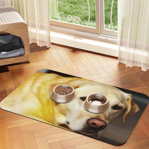 Hundefuttermatte, saugfähige Futtermatte für Futter- und Wassernäpfe, rutschfeste Platzierunterlage für Böden, wasserdicht, schnell trocknend, Wasserspendermatte für Hunde, Welpen, Katzen, 40,6 x 61 Hundefuttermatte, saugfähige Futtermatte für Futter- und Wassernäpfe, rutschfeste Platzierunterlage für Böden, wasserdicht, schnell trocknend, Wasserspendermatte für Hunde, Welpen, Katzen, 40,6 x 61 von BSCKKDMN