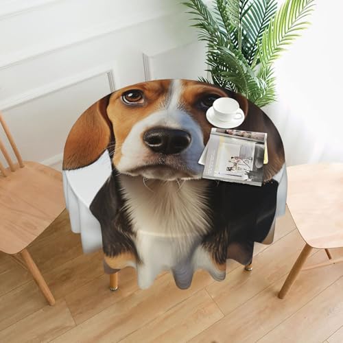 Runde Tischdecke, 152,4 cm, niedlicher Beagle-Hund, schmutzabweisend, waschbar, knitterfrei, abwischbar, moderne Bauernhaus-Dekorationen für Party, Picknick, Zuhause, Küche Runde Tischdecke, 152,4 cm, niedlicher Beagle-Hund, schmutzabweisend, waschbar, knitterfrei, abwischbar, moderne Bauernhaus-Dekorationen für Party, Picknick, Zuhause, Küche von BSCKKDMN