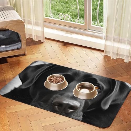 Schwarze Hundefuttermatte, saugfähige Futtermatte für Futter- und Wassernäpfe, rutschfeste Platzierunterlage für Böden, wasserdicht, schnell trocknend, Wasserspendermatte für Hunde, Welpen, Katzen Schwarze Hundefuttermatte, saugfähige Futtermatte für Futter- und Wassernäpfe, rutschfeste Platzierunterlage für Böden, wasserdicht, schnell trocknend, Wasserspendermatte für Hunde, Welpen, Katzen von BSCKKDMN