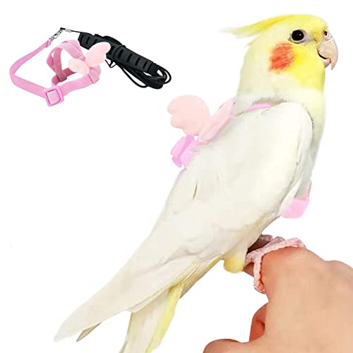 BSDHGF Vogelgeschirr und Leine, Vogelpapagei, verstellbares Outdoor-Fliegen-Trainingsseil mit Schnalle für Nymphensittiche, Aras, Wellensittiche, Rotbrüstsittich, Mönchsittich, Graupapagei, Lovebird BSDHGF Vogelgeschirr und Leine, Vogelpapagei, verstellbares Outdoor-Fliegen-Trainingsseil mit Schnalle für Nymphensittiche, Aras, Wellensittiche, Rotbrüstsittich, Mönchsittich, Graupapagei, Lovebird von BSDHGF