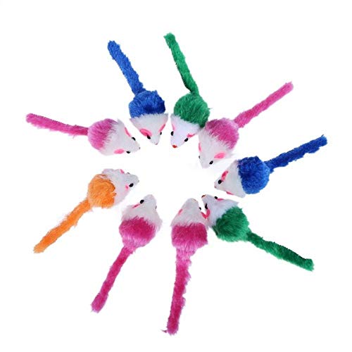 BSDIHRIWEJFHSIE 10 Stück Pet Cat Toys Falsche Maus Mini Lustiges Spielzeug für Katzen mit Buntem Federplüsch Mini Mouse Toys Pet Supplies-01, Spanien BSDIHRIWEJFHSIE 10 Stück Pet Cat Toys Falsche Maus Mini Lustiges Spielzeug für Katzen mit Buntem Federplüsch Mini Mouse Toys Pet Supplies-01, Spanien von BSDIHRIWEJFHSIE