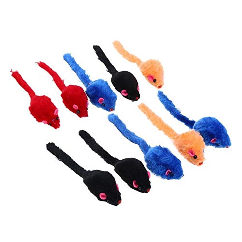 BSDIHRIWEJFHSIE 10 Stück Pet Cat Toys Falsche Maus Mini Lustiges Spielzeug für Katzen mit Buntem Federplüsch Mini Mouse Toys Pet Supplies-02, Vereinigtes Königreich BSDIHRIWEJFHSIE 10 Stück Pet Cat Toys Falsche Maus Mini Lustiges Spielzeug für Katzen mit Buntem Federplüsch Mini Mouse Toys Pet Supplies-02, Vereinigtes Königreich von BSDIHRIWEJFHSIE