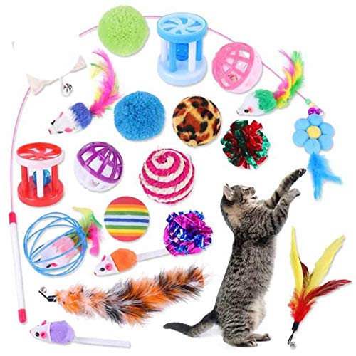 BSDIHRIWEJFHSIE 20 Stück Katzenspielzeug Innenkatzen Kätzchen Teaser Zauberstab Katzentunnel Spielzeug Mäuse & Bälle Haustierzähne Reinigungsspielzeug für Katzen Haustierbedarf-Multicolor, USA BSDIHRIWEJFHSIE 20 Stück Katzenspielzeug Innenkatzen Kätzchen Teaser Zauberstab Katzentunnel Spielzeug Mäuse & Bälle Haustierzähne Reinigungsspielzeug für Katzen Haustierbedarf-Multicolor, USA von BSDIHRIWEJFHSIE
