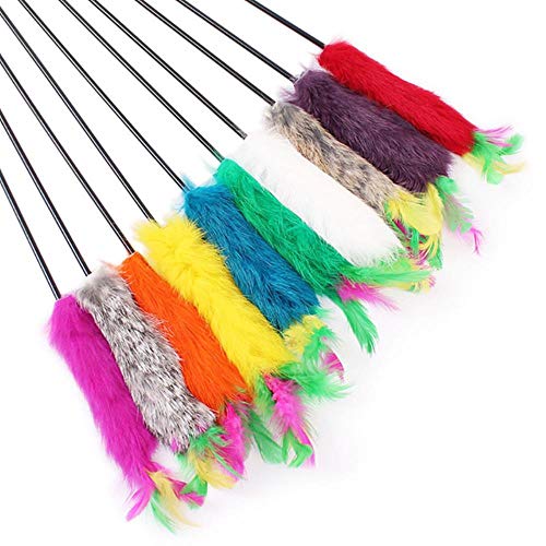 BSDIHRIWEJFHSIE Funny Kitten Cat Teaser Interaktive Spielzeugrute mit Glocken- und Federspielzeug für Katzen Teaser Interaktive Spielzeugrute Haustier Katzenspielzeug Stick-Random Color, USA BSDIHRIWEJFHSIE Funny Kitten Cat Teaser Interaktive Spielzeugrute mit Glocken- und Federspielzeug für Katzen Teaser Interaktive Spielzeugrute Haustier Katzenspielzeug Stick-Random Color, USA von BSDIHRIWEJFHSIE