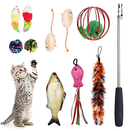 BSDIHRIWEJFHSIE Haustiere Katze Spielzeug Maus Form Bälle Formen Kätzchen Liebe Haustier Spielzeug 20 / 24pcs / Set Cat Stick Mauszubehör Wert Bundle-11pcs BSDIHRIWEJFHSIE Haustiere Katze Spielzeug Maus Form Bälle Formen Kätzchen Liebe Haustier Spielzeug 20 / 24pcs / Set Cat Stick Mauszubehör Wert Bundle-11pcs von BSDIHRIWEJFHSIE
