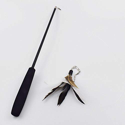 BSDIHRIWEJFHSIE Interaktives Katzenfederspielzeug Feder Teaser Stick Zauberstab Retractable Feather Bell Refill Ersatz Catcher Produkt für Kitten-Black mit Nachfüllung BSDIHRIWEJFHSIE Interaktives Katzenfederspielzeug Feder Teaser Stick Zauberstab Retractable Feather Bell Refill Ersatz Catcher Produkt für Kitten-Black mit Nachfüllung von BSDIHRIWEJFHSIE