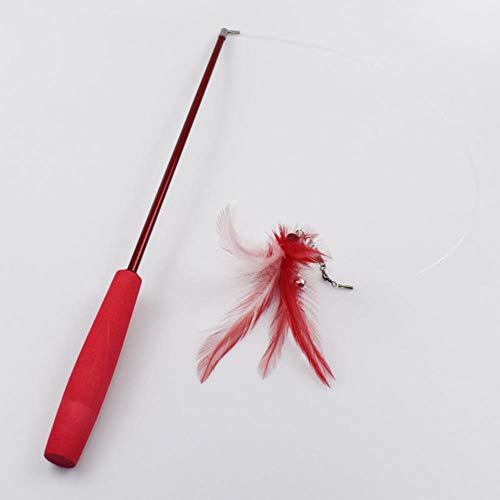 BSDIHRIWEJFHSIE Interaktives Katzenfederspielzeug Feder Teaser Stick Zauberstab Retractable Feather Bell Refill Ersatz Catcher Produkt für Kitten-Red mit Nachfüllung BSDIHRIWEJFHSIE Interaktives Katzenfederspielzeug Feder Teaser Stick Zauberstab Retractable Feather Bell Refill Ersatz Catcher Produkt für Kitten-Red mit Nachfüllung von BSDIHRIWEJFHSIE