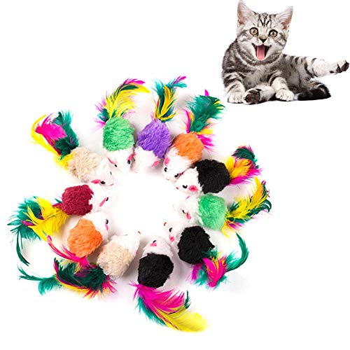 BSDIHRIWEJFHSIE Nettes Mini-weiches Vlies Falsche Maus Katzenspielzeug Bunte Feder Lustiges Spieltrainingsspielzeug für Katzen Kätzchen Welpe Haustierzubehör-zufällige Farben, 10 Stück BSDIHRIWEJFHSIE Nettes Mini-weiches Vlies Falsche Maus Katzenspielzeug Bunte Feder Lustiges Spieltrainingsspielzeug für Katzen Kätzchen Welpe Haustierzubehör-zufällige Farben, 10 Stück von BSDIHRIWEJFHSIE