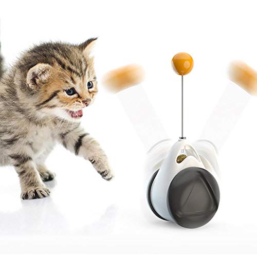 BSDIHRIWEJFHSIE Neues Haustier Spielzeug liefert Katzenspielzeug Plattenspieler necken Katze Stick Vent Balance Auto Haustier Sport Becher Frühling Mann-LKW schwarz, Original BSDIHRIWEJFHSIE Neues Haustier Spielzeug liefert Katzenspielzeug Plattenspieler necken Katze Stick Vent Balance Auto Haustier Sport Becher Frühling Mann-LKW schwarz, Original von BSDIHRIWEJFHSIE