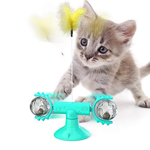 BSDIHRIWEJFHSIE Neues Haustier Spielzeug liefert Katzenspielzeug Plattenspieler necken Katze Stick Vent Balance Auto Haustier Sport Becher Frühling Mann-MIAU Ball blau, Original BSDIHRIWEJFHSIE Neues Haustier Spielzeug liefert Katzenspielzeug Plattenspieler necken Katze Stick Vent Balance Auto Haustier Sport Becher Frühling Mann-MIAU Ball blau, Original von BSDIHRIWEJFHSIE