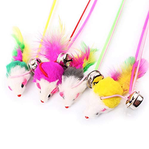 BSDIHRIWEJFHSIE Wohnkultur 2021top Kitten Cat Teaser Interaktive Spielzeugrute mit Glocke und Feder - Zufall, 30CM, Frankreich BSDIHRIWEJFHSIE Wohnkultur 2021top Kitten Cat Teaser Interaktive Spielzeugrute mit Glocke und Feder - Zufall, 30CM, Frankreich von BSDIHRIWEJFHSIE