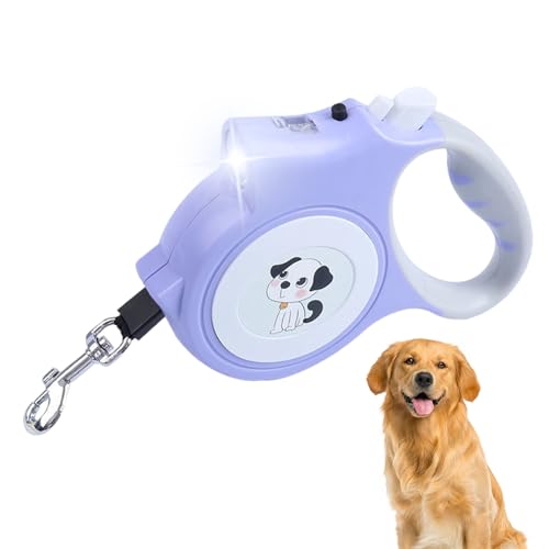 BSEID Hundeleine mit Licht, beleuchtete Hundeleine für Nachtspaziergänge mit Bremse | Notwendigkeiten für Hunde im Freien für Reisen, Wandern, Camping, Ausflüge und Festivalparaden BSEID Hundeleine mit Licht, beleuchtete Hundeleine für Nachtspaziergänge mit Bremse | Notwendigkeiten für Hunde im Freien für Reisen, Wandern, Camping, Ausflüge und Festivalparaden von BSEID