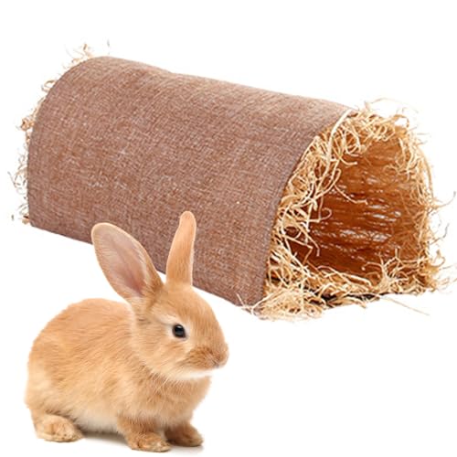 Katzentunnel für Katzen, für den Innenbereich, Tunnel für Haustiere, röhrenförmiges Bett, Spieltunnel für Katzen, Kissen für Hamster, kleines Bogenhaus für Haustiere Bseid Katzentunnel für Katzen, für den Innenbereich, Tunnel für Haustiere, röhrenförmiges Bett, Spieltunnel für Katzen, Kissen für Hamster, kleines Bogenhaus für Haustiere Bseid von BSEID
