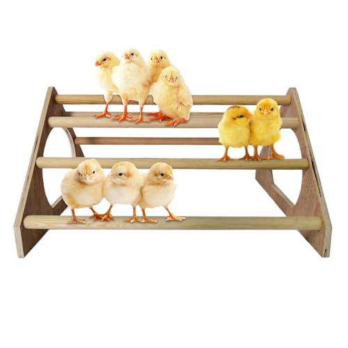BSFDORPOT Chicken Barch mit 7 bar freistehenden Raststangen 14.6x10, 8 x 7, 8 Zoll Holz Hähnchen -Huhn -Rast mit Seitenlöchern für Hen Coop -Nistbox und Backyard Coop Accessoires von BSFDORPOT