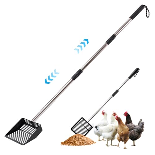 BSFDORPOT Chicken Poop Scooper, Abnehmbarer Schaufel Schaufel großer Edelstahl-Hühnchen-Reinigungswerkzeug mit langem Griff, Hochleistungsschaufel von BSFDORPOT