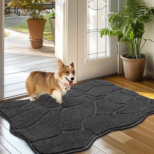 BSICPRO Hundematte für schlammige Pfoten, 61 x 91 cm, niedriges Profil, saugfähig, Schmutzfangmatte, rutschfest, waschbar, Schlammmatte für Hunde, Polyester, Haustierteppich für Haustür, Innenbereich BSICPRO Hundematte für schlammige Pfoten, 61 x 91 cm, niedriges Profil, saugfähig, Schmutzfangmatte, rutschfest, waschbar, Schlammmatte für Hunde, Polyester, Haustierteppich für Haustür, Innenbereich von BSICPRO