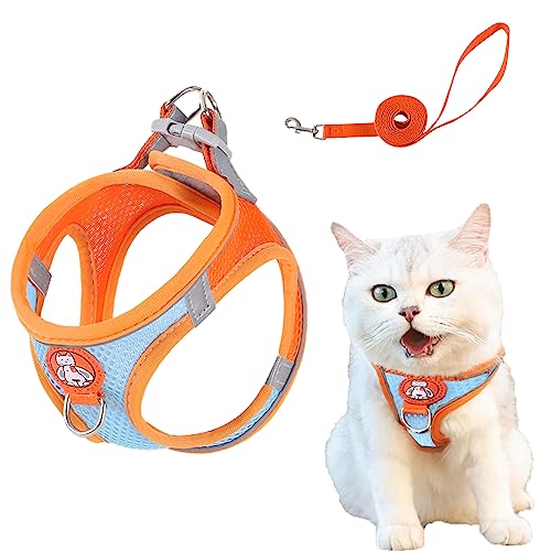 BSITSSS Katzengeschirr mit Leine für Katzen, Katzen Geschirr mit Reflektierenden Streifen, Anti-Flucht-Mechanismus, Größe: Halsumfang 24-30 cm, Brustumfang 30-36 cm, Farbe: Blau, Orange BSITSSS Katzengeschirr mit Leine für Katzen, Katzen Geschirr mit Reflektierenden Streifen, Anti-Flucht-Mechanismus, Größe: Halsumfang 24-30 cm, Brustumfang 30-36 cm, Farbe: Blau, Orange von BSITSSS