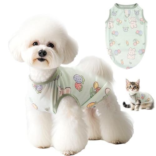BSITSSS Sommer Kühlweste Hund, Hunde Kühlweste Atmungsaktiv, Cool und Bequem Kühlweste fürHunde, Kühlmantel Hund, Hundekühlwesten für Kleine, Mittelgroße Hunde und Katzen BSITSSS Sommer Kühlweste Hund, Hunde Kühlweste Atmungsaktiv, Cool und Bequem Kühlweste fürHunde, Kühlmantel Hund, Hundekühlwesten für Kleine, Mittelgroße Hunde und Katzen von BSITSSS