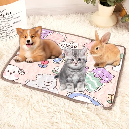 BSITSSS Wiederverwendbare Hundematte 40x50cm rutschfest Hundedecke Waschbar Welpenunterlage Schnell Absorbierend Haustiermatte Für Hunde Katzen Kaninchen Hamster Cartoon Design, Rosa von BSITSSS