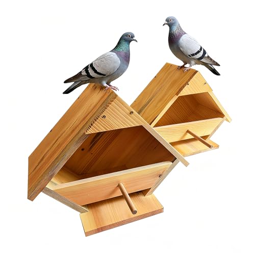 2er-Pack Trauertaube Nisthaus - Handgefertigtes Zedern-Vogelhaus mit Raubfischschutz, Tauben anziehen und schützen für Hinterhof, Garten, Terrasse | Wetterbeständig, einfach zu montieren 2er-Pack Trauertaube Nisthaus - Handgefertigtes Zedern-Vogelhaus mit Raubfischschutz, Tauben anziehen und schützen für Hinterhof, Garten, Terrasse | Wetterbeständig, einfach zu montieren von BSRTOP
