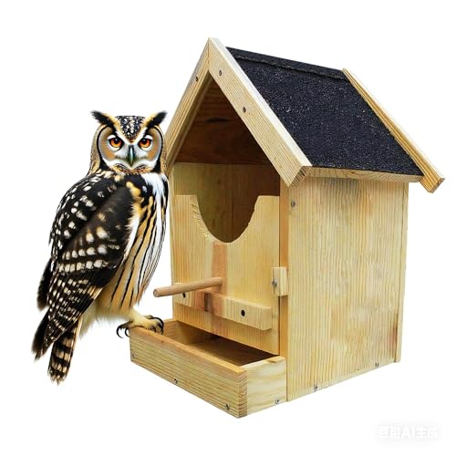 Zedern-Eulenhaus Bausatz - Wetterbeständiges Vogelhaus aus Holz zum Anlocken von Eulen | Einfache Montage, langlebiges Outdoor-Design von BSRTOP