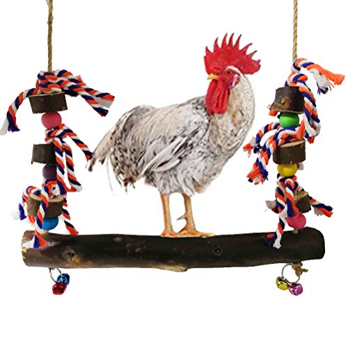 BSTCAR Hühnerschaukel, Hühner Spielzeug Bunte Haustierschaukel Naturholz-kauspielzeug mit Glocken Für Hühnervogelpapagei, Haustiertraining von BSTCAR