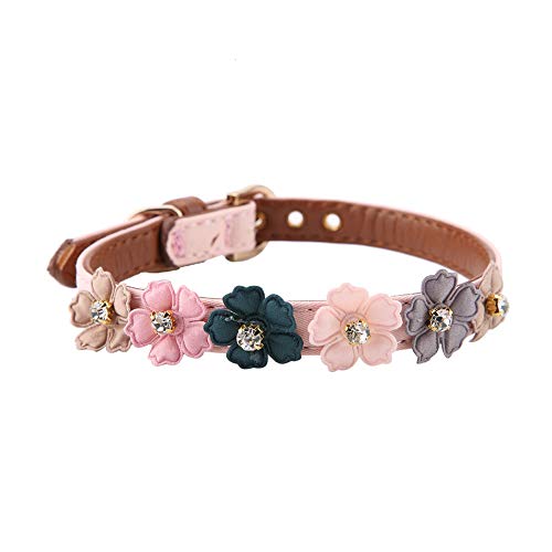 BSTCAR Hunde Kragen verstellbare Haustier Kragen mit Diamant Blumen Design, Leder Hund Schlägenband für kleine mittlere Hunde (1,3 * 42 cm) von BSTCAR