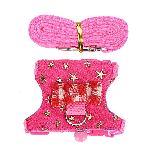 Kleintier Laufgeschirr, Geschirr Leine Set Outdoor Walking Vest Brustgurt Frettchen Chinchilla Eichhörnchen Kaninchen Hamster (M) von BSTCAR
