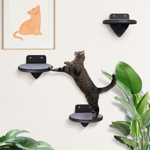 Kletterwand Katzen [Birkenholz]| Katzentreppen 3er-Set | Katzentreppe Wand | Katzen Kletterwand Set | Katzenleiter | Katzenwand Klettern | Catwalk Katze | Katzen Wand Klettern | XL (3-teilig) von BSWAY