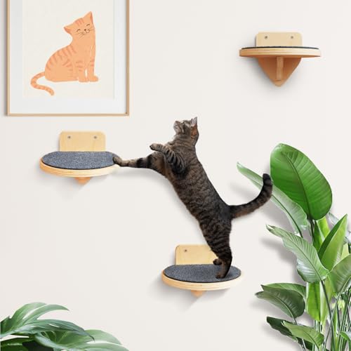 XL Premium Kletterwand Katzen aus Birkenholz | 3er-Set Katzentreppen mit Kratzflächen | Wandmontage Katzenleiter | Kletternetz für Katzen (Holzfarbe, XL, 1) von BSWAY
