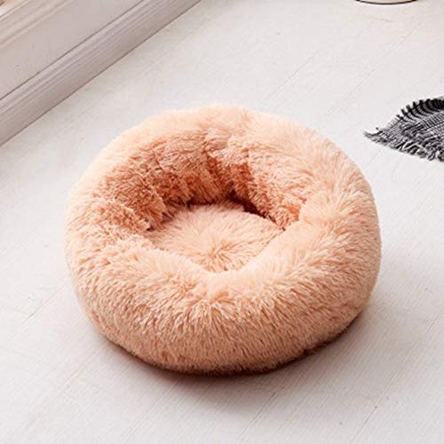 Katzenbett, rund, bequem, beruhigendes Hundebett für Katzen, beruhigendes Bett, Anti-Angst, Haus für Katzen, Fleece, Marshmallow, Katzenbett, Kissen, Aprikose, Außendurchmesser 40 cm, Russische Föderation Katzenbett, rund, bequem, beruhigendes Hundebett für Katzen, beruhigendes Bett, Anti-Angst, Haus für Katzen, Fleece, Marshmallow, Katzenbett, Kissen, Aprikose, Außendurchmesser 40 cm, Russische Föderation von BSZHCT