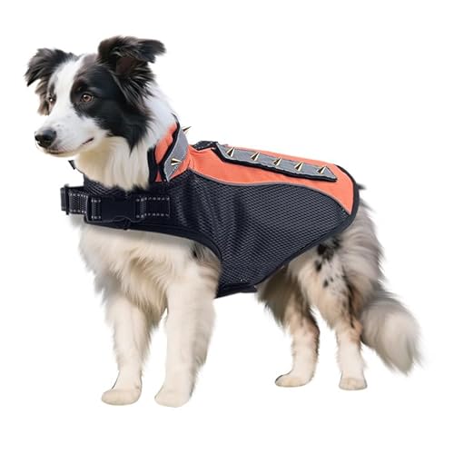 BT Bear Anti-Bissanzug für Hunde, dicke Polsterung, Weste mit Nietennageln, Anti-Angriffs-Haustierjacke für Welpen, kleine, mittelgroße Hunde, Größe M, Orange BT Bear Anti-Bissanzug für Hunde, dicke Polsterung, Weste mit Nietennageln, Anti-Angriffs-Haustierjacke für Welpen, kleine, mittelgroße Hunde, Größe M, Orange von BT Bear
