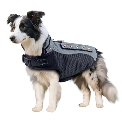 BT Bear Anti-Bissanzug für Hunde, dicke Polsterung, Weste mit Nietennageln, Anti-Angriffs-Haustierjacke für Welpen, kleine Hunde (Größe XS, Grau) von BT Bear