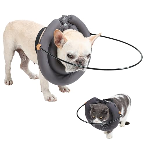 BT Bear Blind Dog Halo Collar,Elizabethan Collar with Blind Dog Harness Guiding Device,Pet Prevent Collision Collar,Face Protection Pet Safe Accessories for Cats Small Dogs (M) von BT Bear