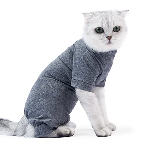 BT Bear Cat Professional Recovery Anzug für Bauchwunden oder Hautkrankheiten, E-Halsband Alternative für Katzen und Hunde, nach Operationen, Pyjamaanzug (L, Grau) von BT Bear