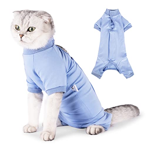 BT Bear Cat Professional Recovery Suit für Bauchwunden oder Hautkrankheiten, E-Halsband Alternative für Katzen und Hunde, nach Operationen, Pyjamaanzug (L,Blau) von BT Bear
