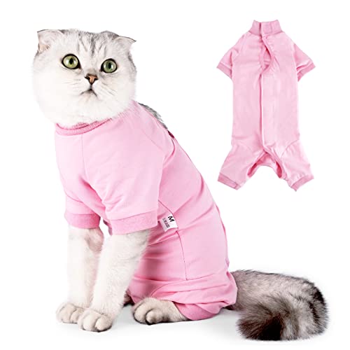 BT Bear Cat Professional Recovery Suit für Bauchwunden oder Hautkrankheiten, E-Halsband Alternative für Katzen und Hunde, nach Operationen, Pyjamaanzug (M, Rosa) von BT Bear