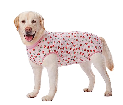 BT Bear Chirurgischer Genesungsanzug für Hunde, chirurgische Kleidung für Haustiere, bei Bauchwunden, Hautkrankheiten, verhindert Lecken von Kegeln, E-Halsband, Alternative zu Beißen, postoperative BT Bear Chirurgischer Genesungsanzug für Hunde, chirurgische Kleidung für Haustiere, bei Bauchwunden, Hautkrankheiten, verhindert Lecken von Kegeln, E-Halsband, Alternative zu Beißen, postoperative von BT Bear
