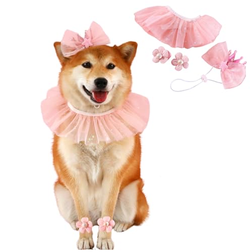 BT Bear Geburtstagshut und Schal für kleine Hunde und Katzen, niedliches Haustier-Geburtstags-Bandana mit Schleife, Party-Zubehör, Welpen, Happy Birthday-Dekorationen für Mädchen, Jungen, Kätzchen, BT Bear Geburtstagshut und Schal für kleine Hunde und Katzen, niedliches Haustier-Geburtstags-Bandana mit Schleife, Party-Zubehör, Welpen, Happy Birthday-Dekorationen für Mädchen, Jungen, Kätzchen, von BT Bear