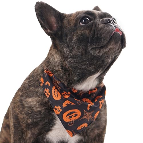 BT Bear Halloween-Hundehalstuch, Halloween-Kostüm, Haustier-Halsband, Kürbis, Geist, Fledermaus, Haustier-Schal für kleine, mittelgroße und große Hunde, Größe M, schwarzer Kürbis BT Bear Halloween-Hundehalstuch, Halloween-Kostüm, Haustier-Halsband, Kürbis, Geist, Fledermaus, Haustier-Schal für kleine, mittelgroße und große Hunde, Größe M, schwarzer Kürbis von BT Bear