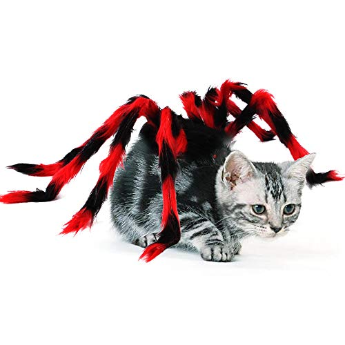 BT Bear Halloween-Kostüm für Hunde und Katzen, Plüsch-Spinne, Cosplay, Dekoration, Party-Kostüme für Katzen, Welpen, kleine Hunde (Größe M) von BT Bear