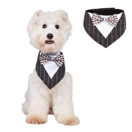 BT Bear Halstuch für Haustiere, Smoking, Hochzeits-Outfit, Dreieckstuch mit Fliege, Schal für Katzen, Welpen, kleine Hunde, mittelgroße Hunde, Dunkelgrau, Größe XL von BT Bear