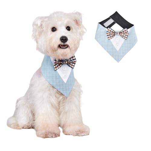 BT Bear Halstuch für Haustiere, Smoking, Hochzeits-Outfit, Dreieckstuch mit Fliege, Schal für Katzen, Welpen, kleine Hunde, mittelgroße Hunde, Hellblau, Größe M von BT Bear