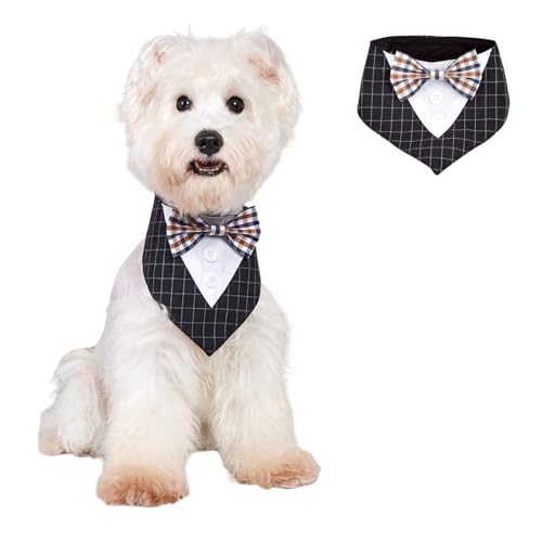 BT Bear Halstuch für Haustiere, Smoking, Hochzeits-Outfit, Dreieckstuch mit Fliege, Schal für Katzen, Welpen, kleine Hunde, mittelgroße Hunde, Schwarz, Größe M von BT Bear